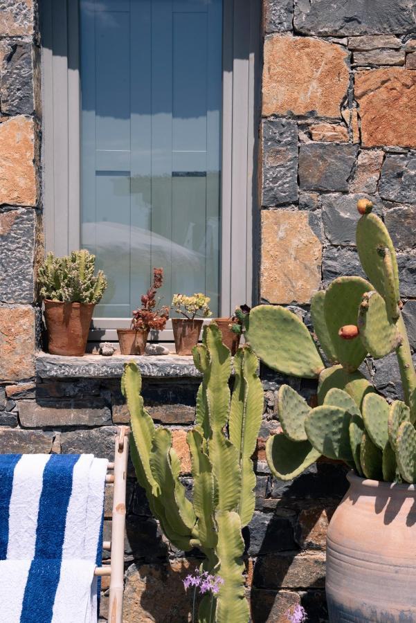 Villa Aiolos: Above The Sea, Within Agios Nikolaos Exterior foto